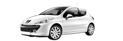 Логотип Peugeot 207